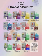 LANA 5000口可充電拋棄式電子煙｜一次性設計｜台灣現貨24h速發
